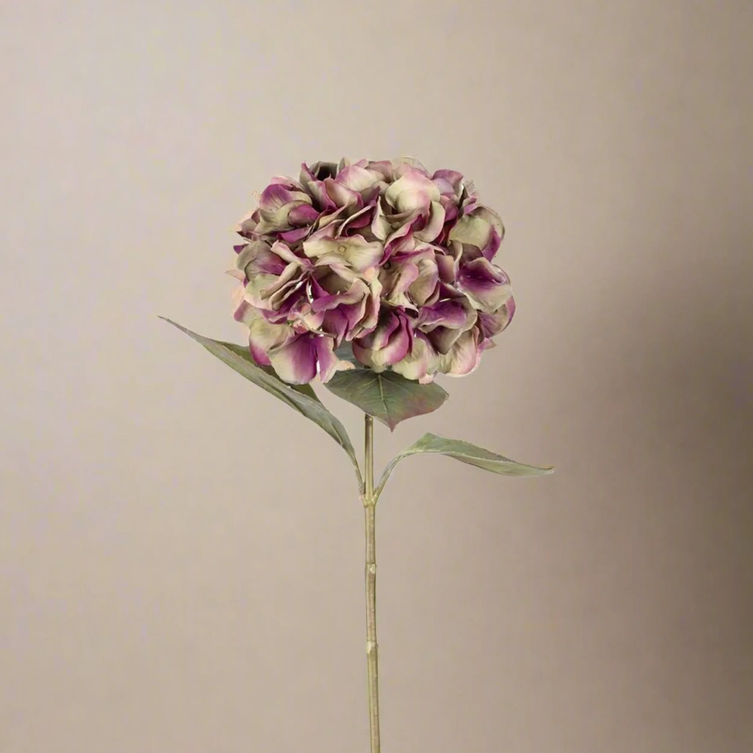 Clearance Mr. Plant Hortensia lilla/grønn, 65 cm Kunstige Planter