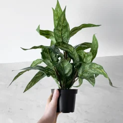 Sale Mr. Plant Aglonema 35 cm Kunstige Planter