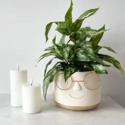 Sale Mr. Plant Aglonema 35 cm Kunstige Planter