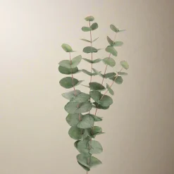 Outlet Mr. Plant Eucalyptus 60 cm Kunstige Planter