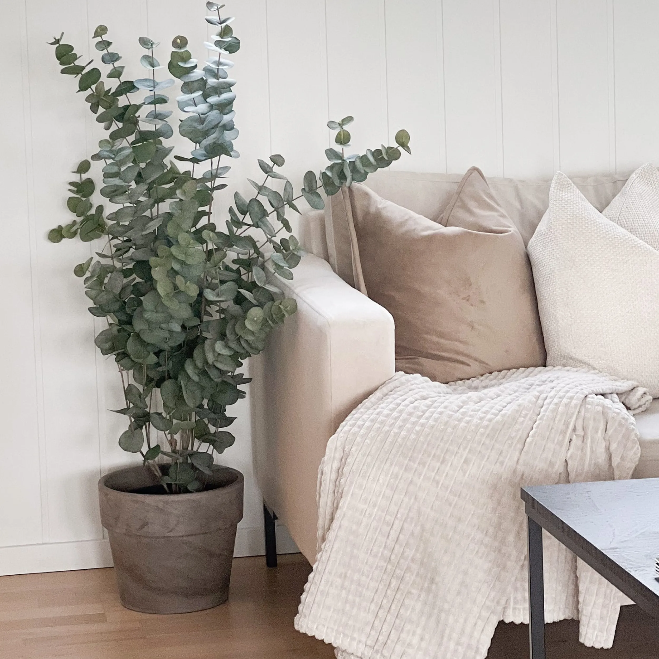 New Mr. Plant Eucalyptus 110 cm Kunstige Planter