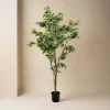 Clearance Mr. Plant Fikus Benjamin 180 cm Kunstige Planter