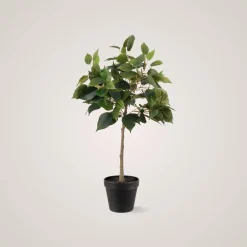 Online Mr. Plant Fikus Benjamin 36 cm Kunstige Planter