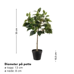 Online Mr. Plant Fikus Benjamin 36 cm Kunstige Planter