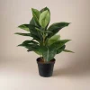 Best Mr. Plant Fikus Robusta 37 cm Kunstige Planter
