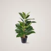 Outlet Mr. Plant Fikus Robusta 50 cm Kunstige Planter
