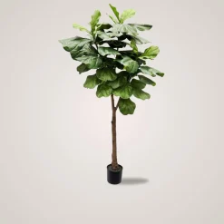 New Mr. Plant Fiolfikus 180 cm Kunstige Planter