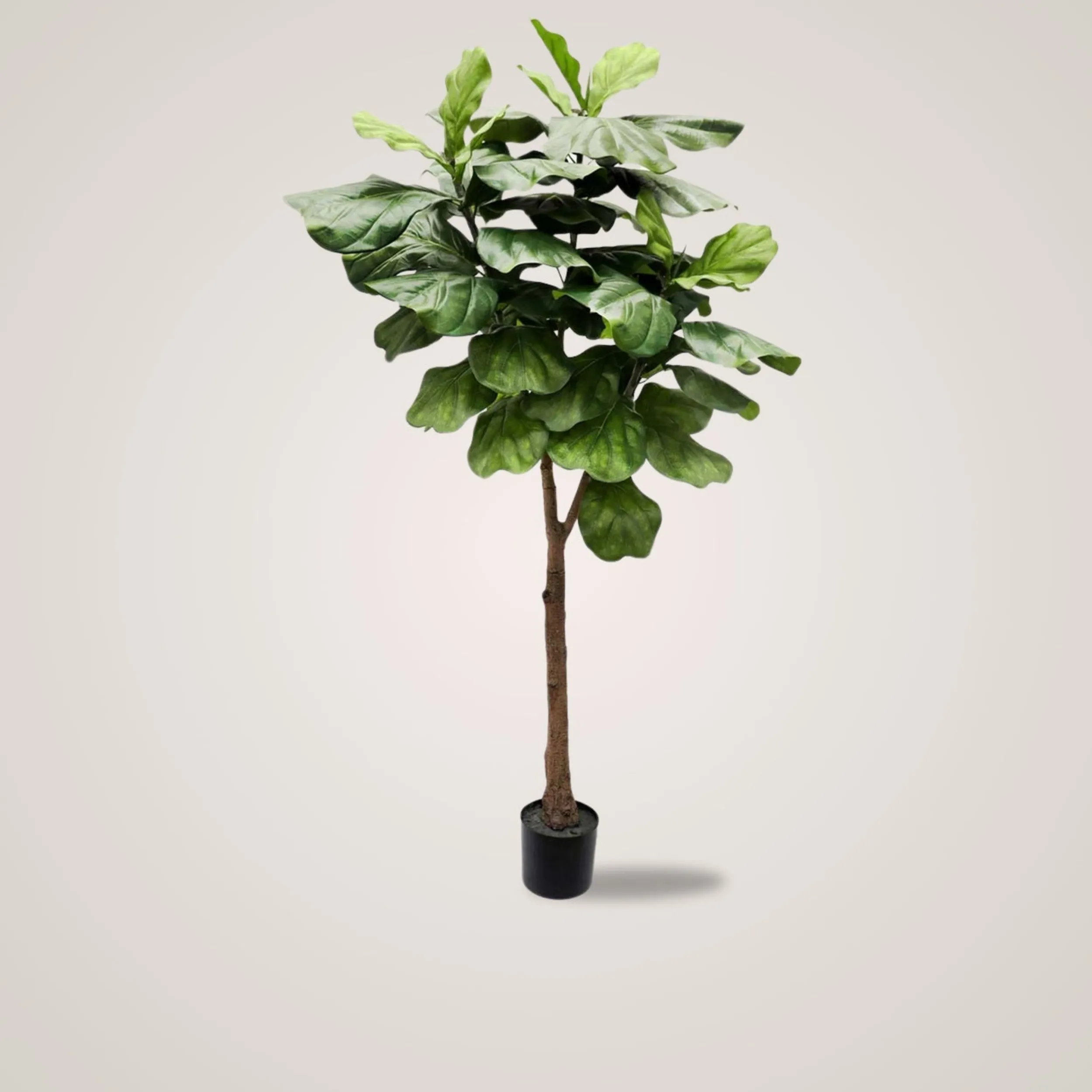 New Mr. Plant Fiolfikus 180 cm Kunstige Planter