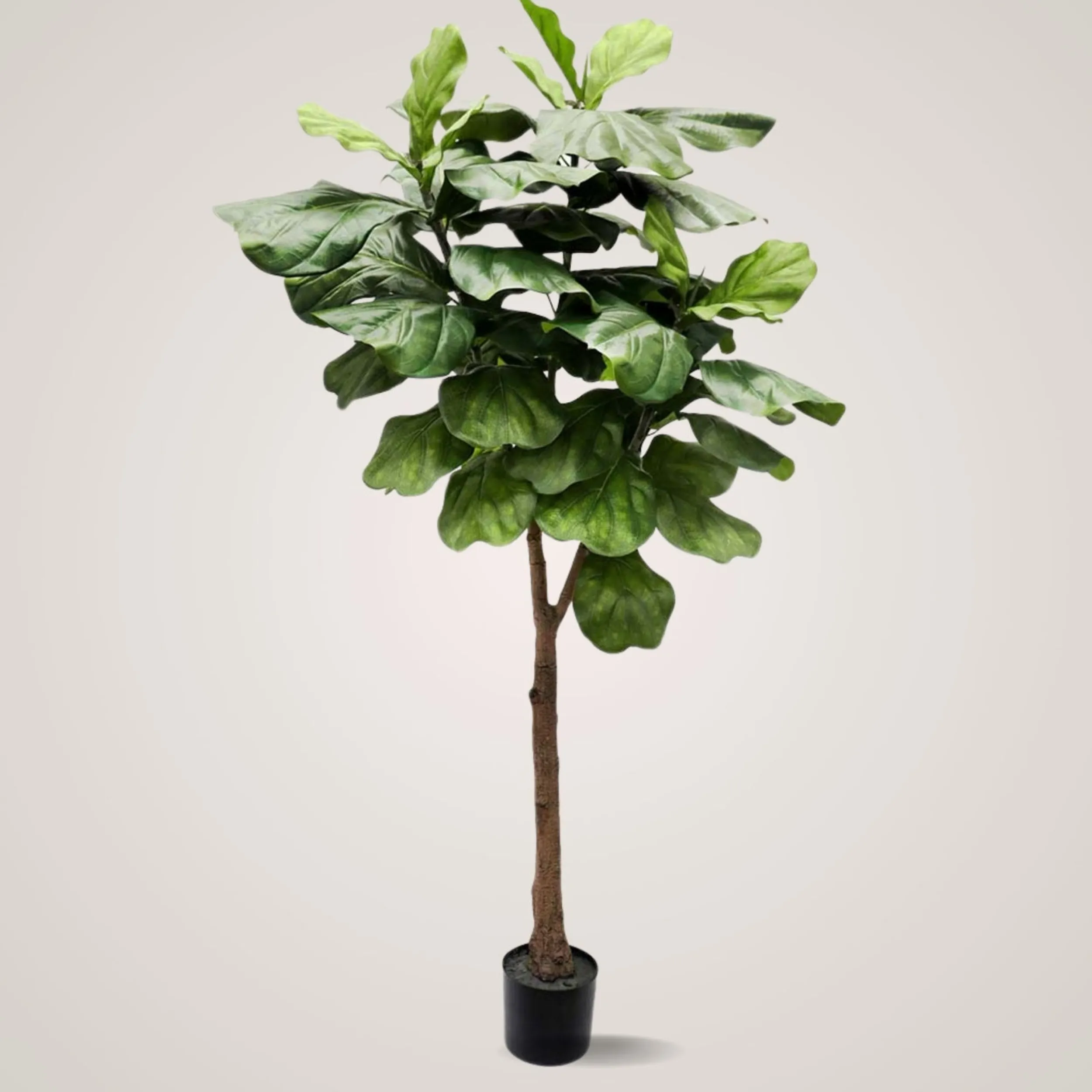 New Mr. Plant Fiolfikus 180 cm Kunstige Planter