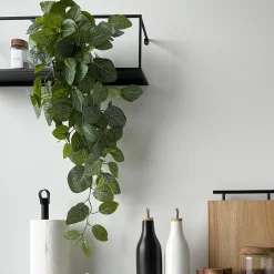 Online Mr. Plant Fittonia, 50 cm Kunstige Planter