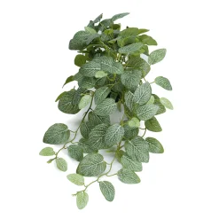Online Mr. Plant Fittonia, 50 cm Kunstige Planter