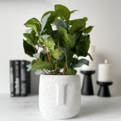 Outlet Mr. Plant Fittonia, 34 cm Kunstige Planter