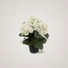Hot Mr. Plant Hortensia 30 cm Kunstige Planter