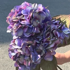 Sale Mr. Plant Hortensia blå/lilla, 65 cm Kunstige Planter