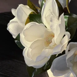 Online Mr. Plant Magnolia 50 cm Kunstige Planter