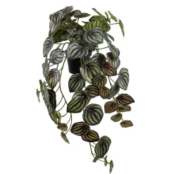 Online Mr. Plant Peperomia 45 cm Kunstige Planter