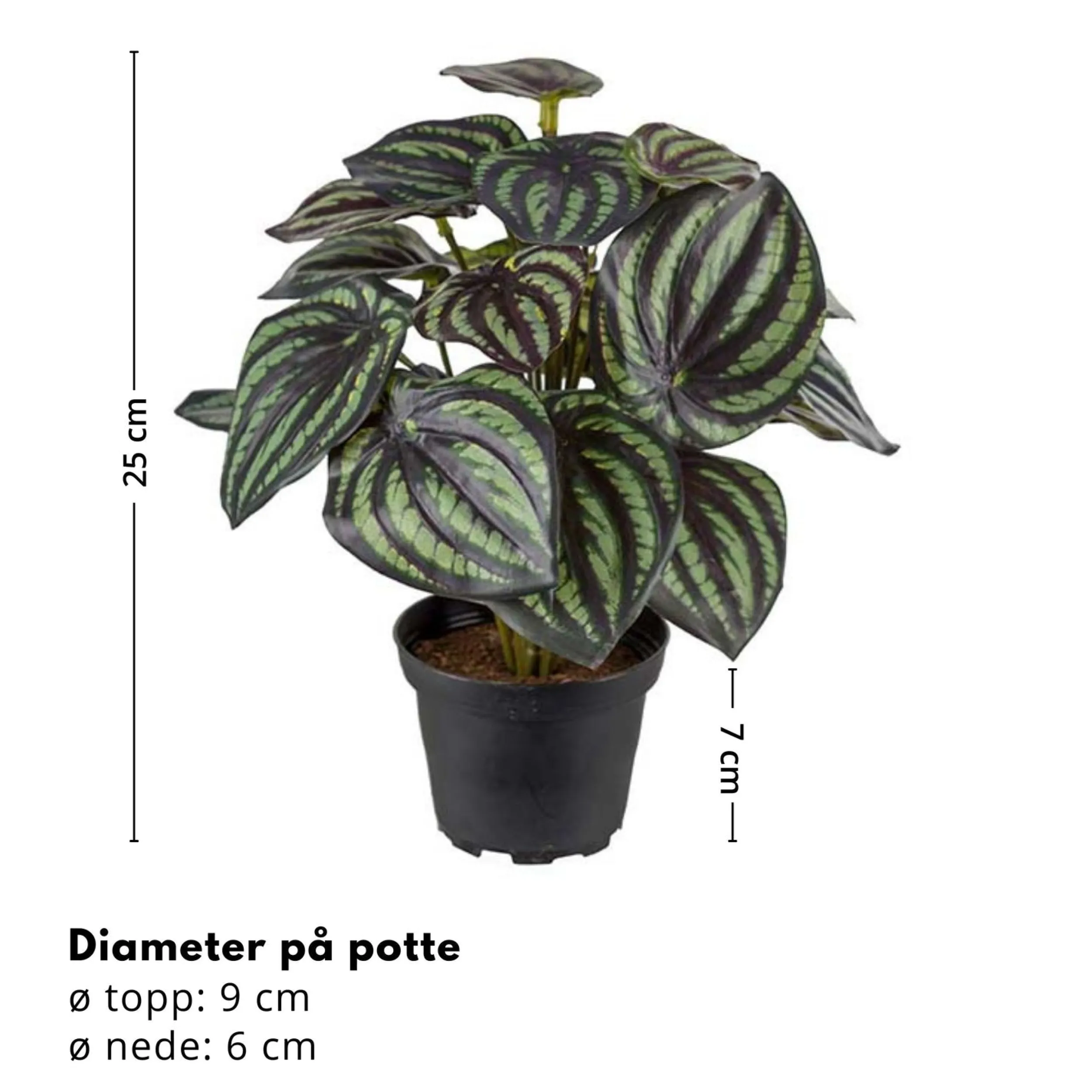 Discount Mr. Plant Peperomia 25 cm Kunstige Planter