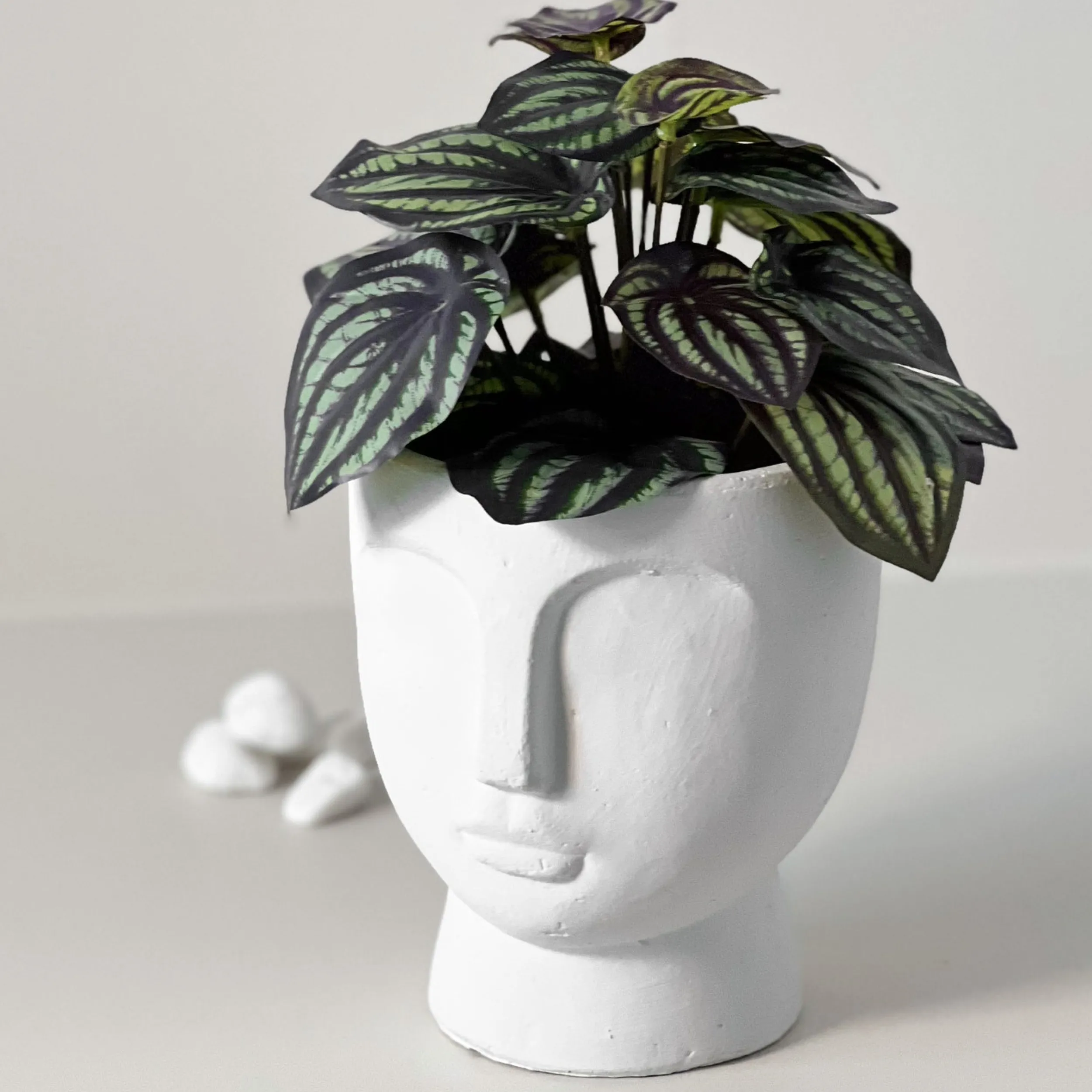 Discount Mr. Plant Peperomia 25 cm Kunstige Planter