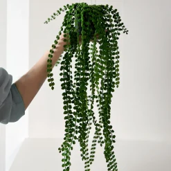 Sale Mr. Plant Pilea, 55 cm Kunstige Planter