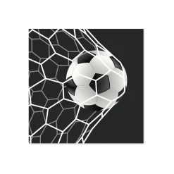 Fashion Servietter med fotball 20-pk Borddekking