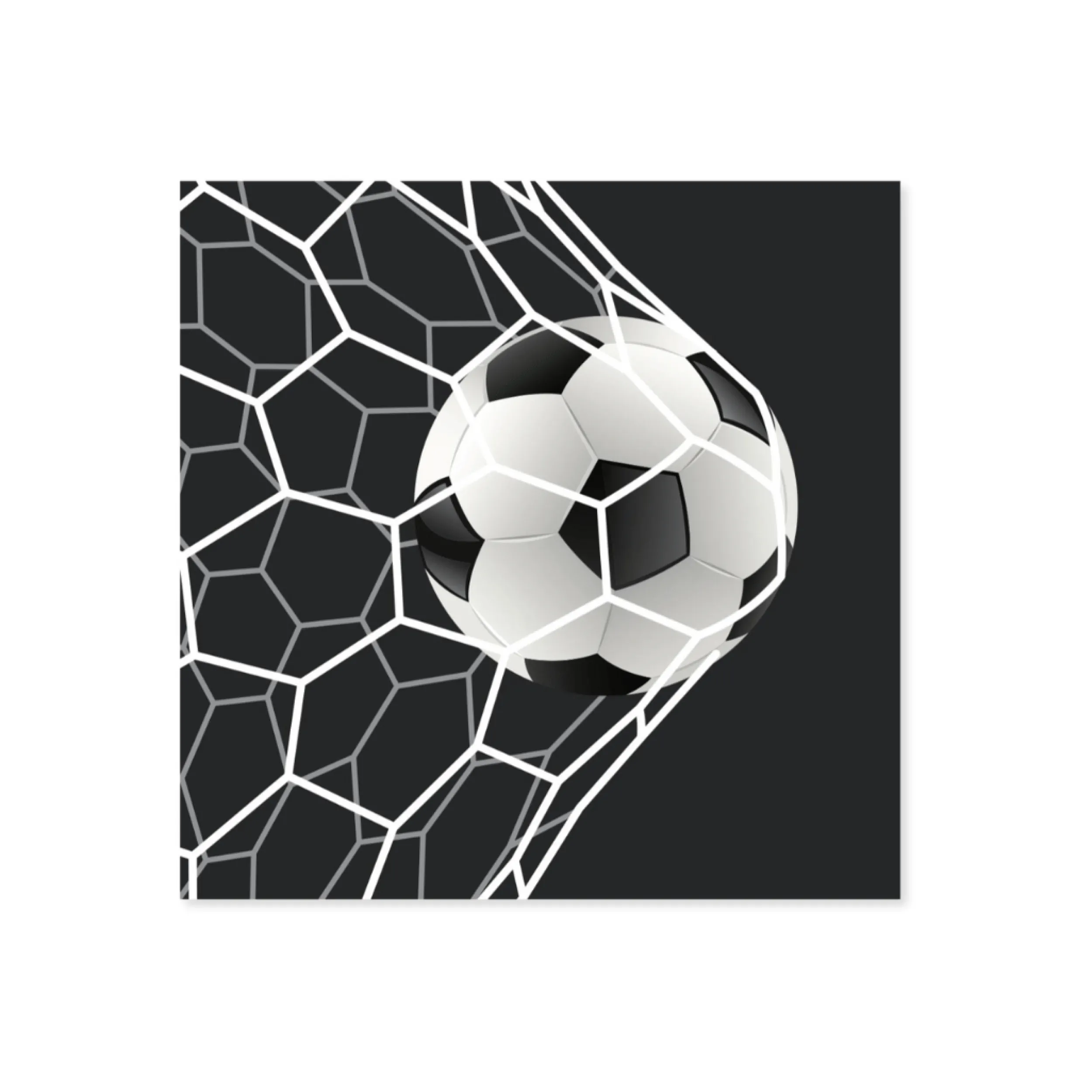 Fashion Servietter med fotball 20-pk Borddekking