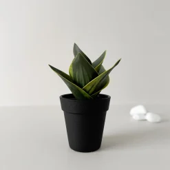 Outlet Sukkulent potteplante Kunstige Planter