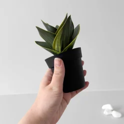 Outlet Sukkulent potteplante Kunstige Planter